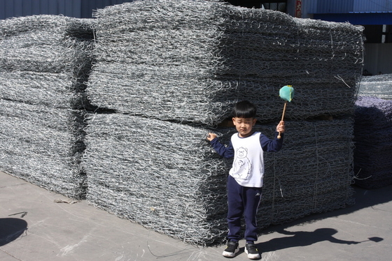 2.2 мм стальной проволоки ПВХ покрытый Galfan Gabion корзины с индивидуальным цветом покрытия