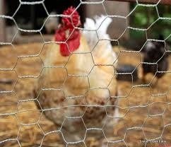 Гальванизированная шестиугольная птицеводческая сетка для куриного купе